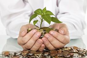 cash for growth