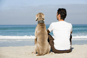 Get your Veterinary Service on the Road