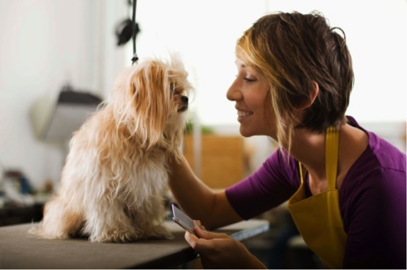 mobile pet grooming
