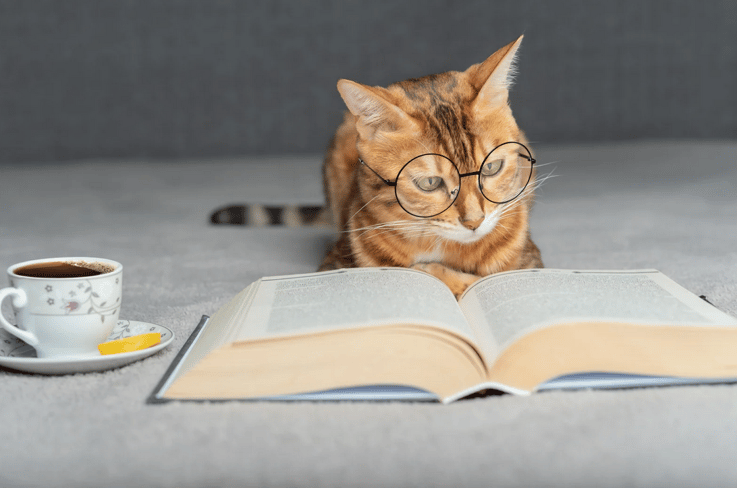 Celebrate National Read A Book Day!