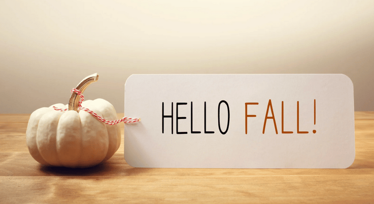 Laughter And Leaves: Top Fall Funnies Every Small Business Owner Will Love