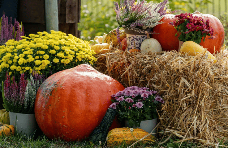 10 Fall Marketing Ideas To Boost Your Small Business This Season