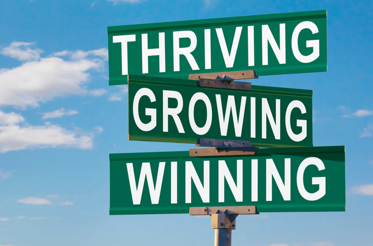 Financial Strategies To Help Small Businesses Thrive