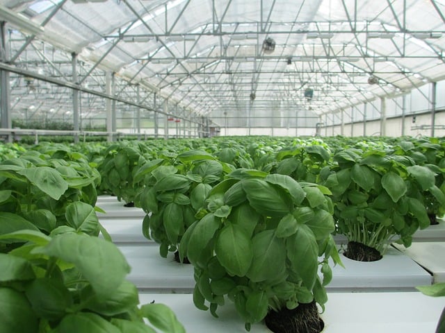 Food Technology Trends 2019