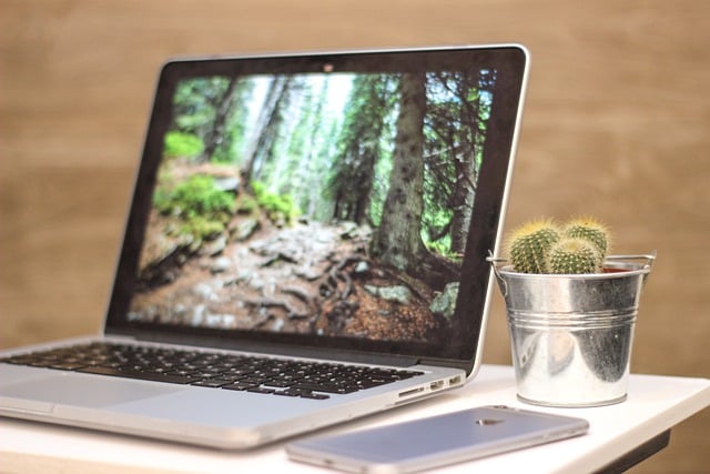 Going Green Checklist For Home And Business