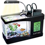desk aquarium