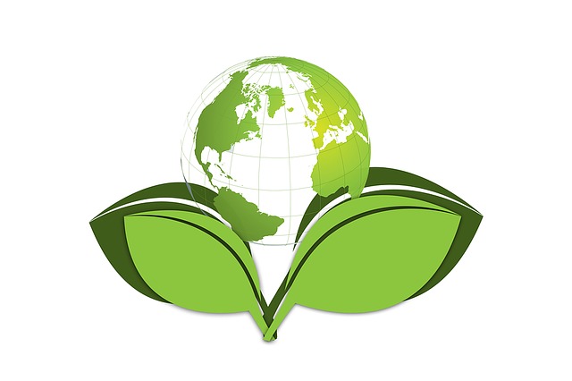 Cruelty-Free And Environmentally Friendly Salon Practices