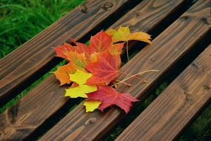 Awesome Autumn Recipes To Increase Restaurant Revenue