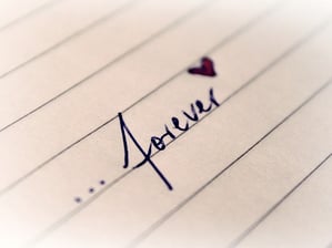 What Drives Small Business Brand Loyalty?
