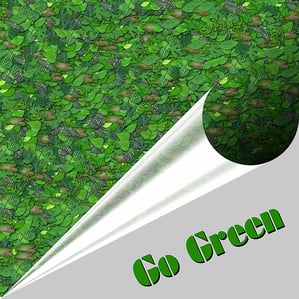 Small Businesses Going Green For Earth Day 
