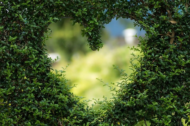 How To Market Your Small Business This Valentine’s Day