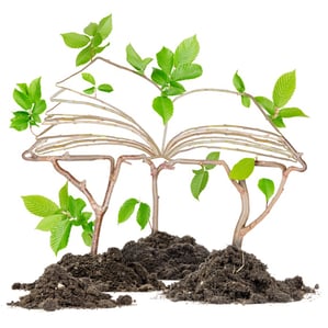 Become a Better Leader to Grow your Business