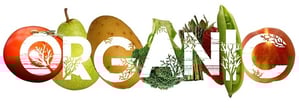 Top Organic Foods Your Restaurant Needs and Why