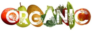 Top Organic Foods Your Restaurant Needs and Why