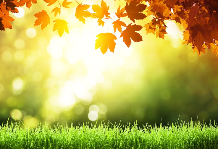 How To Celebrate The Fall Holidays At Your Small Business