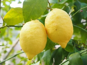 Fresh Spring Time Lunch Recipes For Your Restaurant