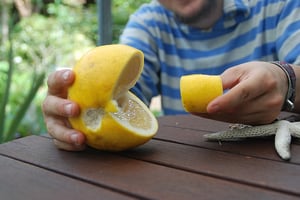 5 Great Promotional Ideas For Your Restaurant