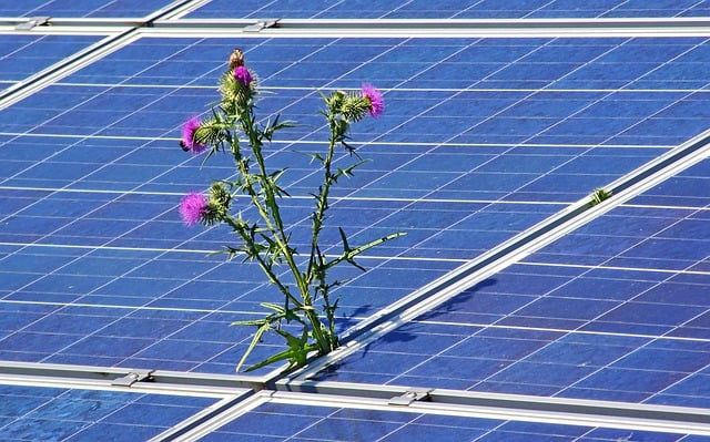 How To Reduce The Environmental Impact Of Your Small Business