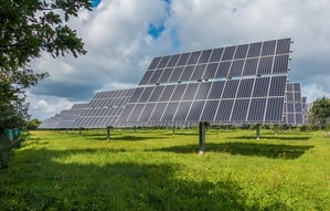 5 Unique Ways Your Small Business Can Go Green