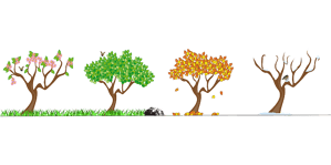 Seasonal Marketing Opportunities For Small Business
