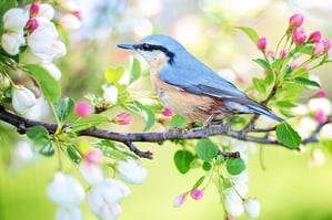 How To Make Your Small Business Bloom This Spring