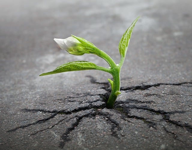 Grow Yourself To Grow Your Business