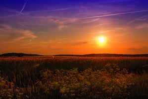 End Of Summer Inspiration For Small Business Owners