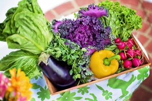 Food Technology Impacting Small Business