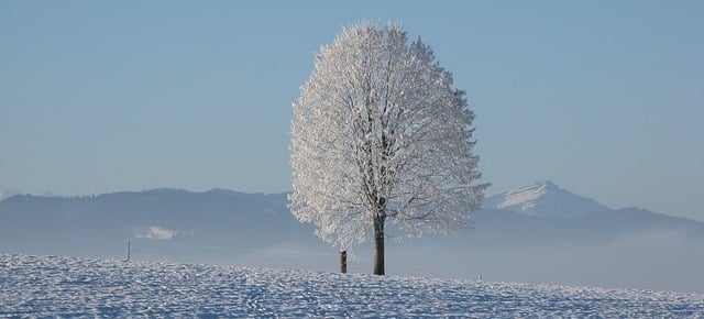 winter-198447_640-1