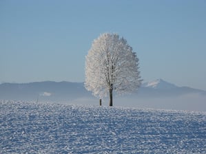 3 Winter Menu Items To Keep Your Customers Warm