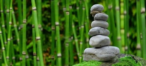 Holistic Healing And Relaxation For Small Business Owners